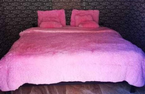Wadi Rum Cabin | Explore Wadi rum camp