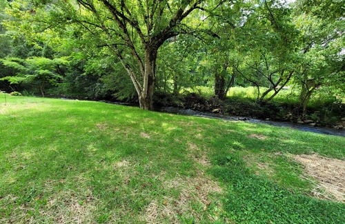 Del Rio RV Rental | Extra large grassy creekside tent site!