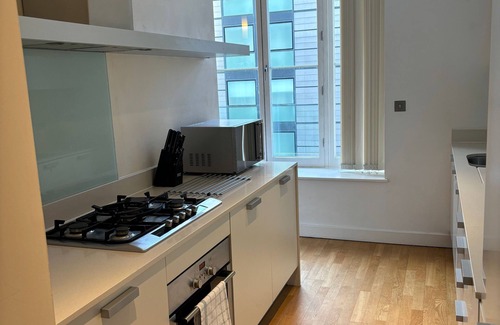 Laurieston Apartment | Extremely Central Quartermile Apartment Near Castle and University