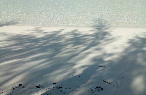 Rolleville Apartment | Exuma' Best Kept Secret