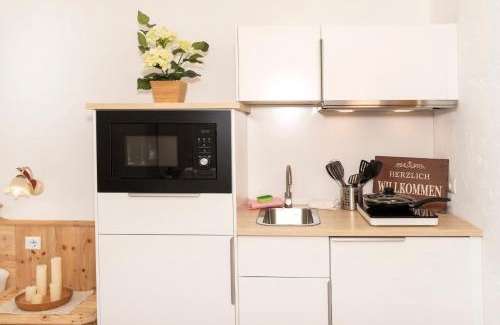 Alpbach Apartment | Fürstenhäusl Alpbach - GREEN Apartments & Studio