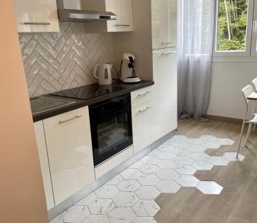Royat Apartment | F2 Au cœur des volcans d’Auvergne