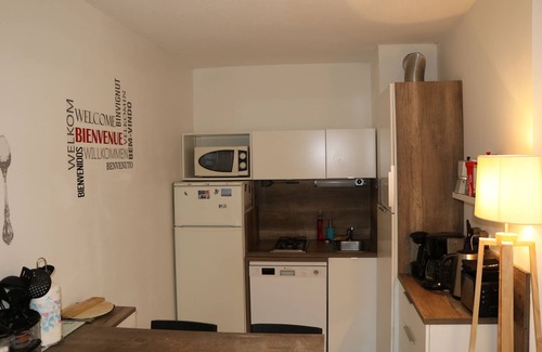 Port Marianne Apartment | F2 garage,terrace,wifi,near town hall/train station/richter