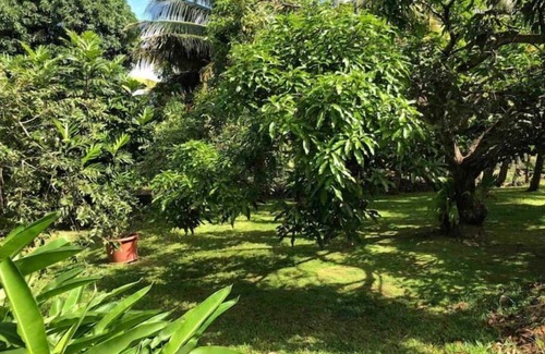 Le Lamentin Apartment | F3 apartment with garden view close to all amenities.