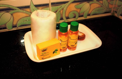 Delhi Hotel | Fabexpress Marigold I