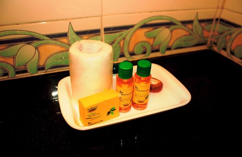 Nandambakkam Hotel | Fabhotel Vrj Residency