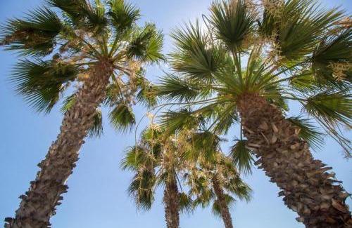 Torre del Mar Apartment | Fabuloso apartamento a 50m de playa centrico