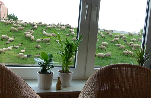 Twielenfleth Apartment | Fabys Ferienwohnung, Deutschland
