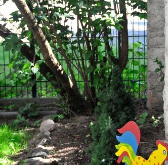 Quedlinburg Apartment | Fachwerkhotel - Ferienhäuser Vorhof zur Hölle