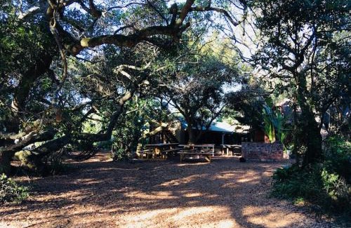 Wilderness Hostel | Fairy Knowe Backpackers Lodge