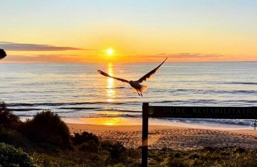 Falcon House | Falcon Family-friendly Bayview Beach House