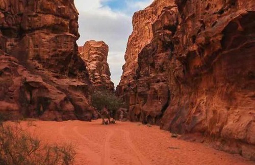 Wadi Rum Bed & Breakfast | falling stars camp