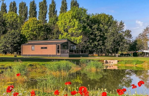 Pershore Ski Chalet | Fallow Pet Friendly Lodge