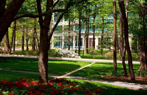 Falls Church Hotel | Falls Church Marriott Fairview Park