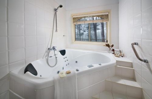 Wentworth Falls Apartment | Falls Mountain Retreat Blue Mountains