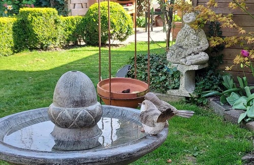 Anjum Bed & Breakfast | Familie Postma B&B Anjum