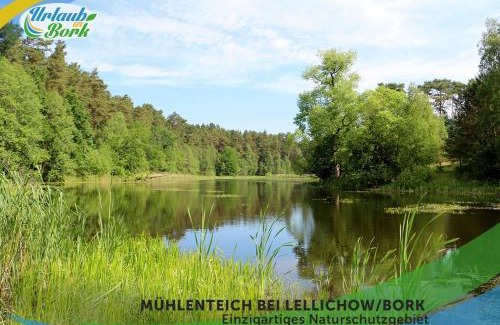Bork Apartment | Familien-Suite-im-Wald-am-See