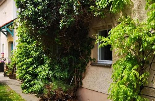 Glashuette Apartment | Familienfreundliche Gemütliche Ferienwohnung In Luchau Mit Garten Und Grill -