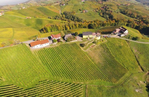 Glanz an der Weinstrasse House | Familienweingut Oberer Germuth