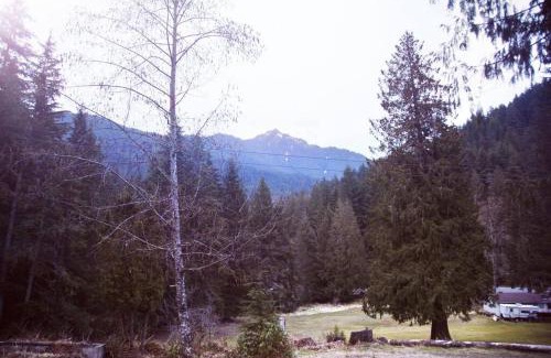 Ashford Apartment | Family Cabin at Rainier Lodge -0.4 m from entrance
