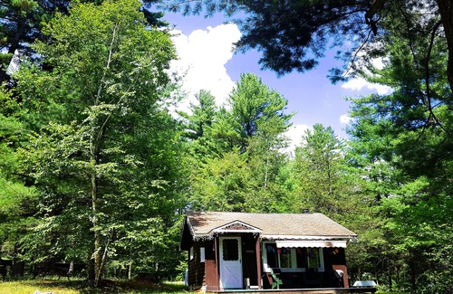 Wilmington Ski Chalet | Family Chalet with Fireplace under Pine trees