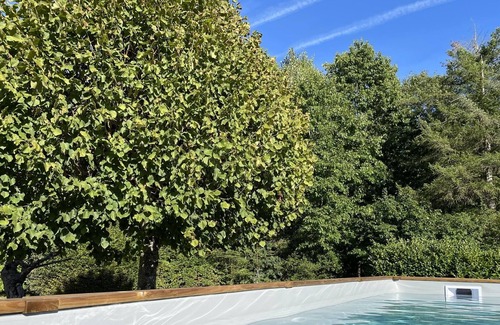 Neuvy-en-Sullias House | Family farmhouse, 2 hectares, in the heart of Sologne