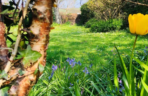 Angle House | Family-friendly cottage minutes from the beach