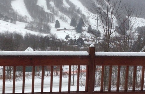Blodgett Mills House | Family Friendly Log House At Greek Peak Mountain Resort