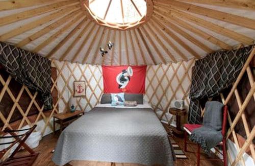 Bear Creek Other | Family Friendly Yurt Glamping, Perfect for an Alaskan Adventure