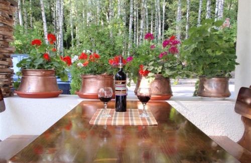 Sapareva Banya Hotel | Family Hotel Emaly 2