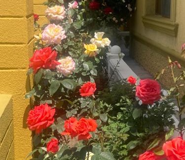 Gori House | Family hotel