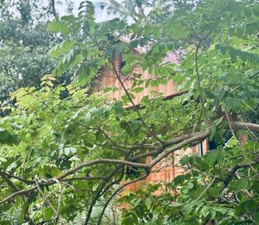 Maraiyur Bed & Breakfast | FAMILY RESORT MARAYOoR KANTHALLOOR