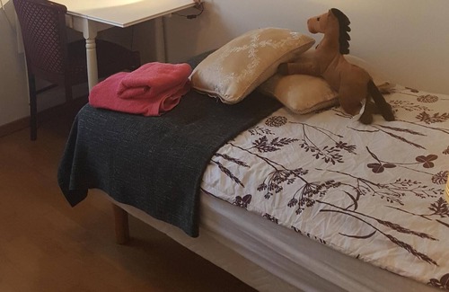 Hornafjörður House | Family run guesthouse on a farm in location in sout east Iceland sheep farm