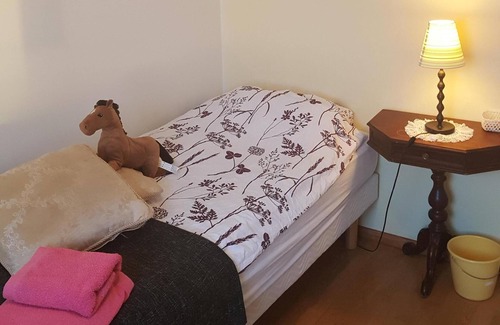 Hornafjörður House | Family run guesthouse on a farm in location in sout east Iceland sheep farm