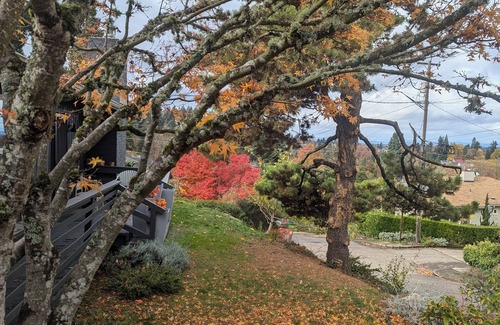 Amazon House | Fantastic 3-bedroom, two-bath home one mile from Hayward Field,
