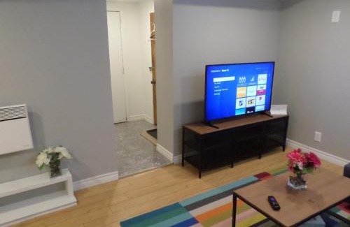 Centretown Apartment | Fantastic and Modern Downtown 1-Bed Basement Apt., parking Wi-Fi and Netflix included