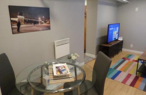 Centretown Apartment | Fantastic and Modern Downtown 1-Bed Basement Apt., parking Wi-Fi and Netflix included