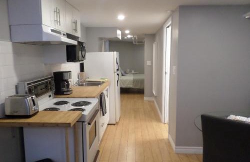 Centretown Apartment | Fantastic and Modern Downtown 1-Bed Basement Apt., parking Wi-Fi and Netflix included