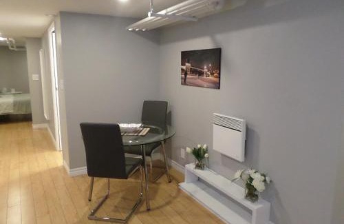Centretown Apartment | Fantastic and Modern Downtown 1-Bed Basement Apt., parking Wi-Fi and Netflix included