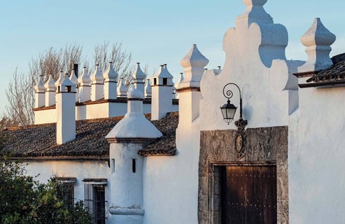 Arcos de la Frontera Villa | Fantastic Hacienda with 10 bedrooms in Andalucia for 20 people.