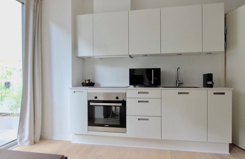 København N Apartment | Fantastic studio w/a terrace in Nørrebro - 219