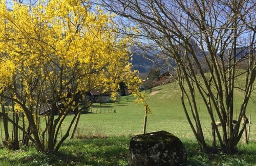 Bad Reichenhall Apartment | Fantastically located apartment with a wonderful mountain view in Nonn