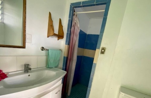 Saleapaga Hotel | Faofao Beach Fales
