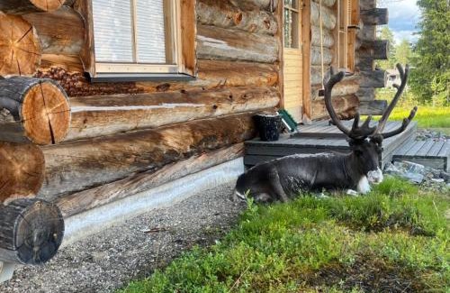 Akaslompolo Apartment | Far And Away Cabin