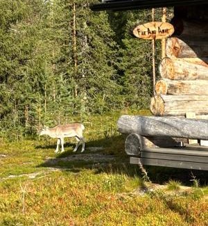 Akaslompolo Apartment | Far And Away Cabin