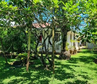 Afaahiti House | Fare Hiki - TOAHOTU