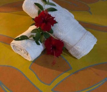 Moorea-Maiao Ski Chalet | Fare Manuhiti