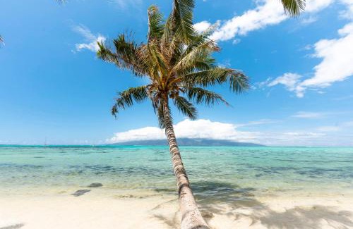 Moorea-Maiao House | Fare Mehiata 2, free canoe