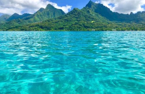Ha'apiti Apartment | Fare Oaoa Haapiti