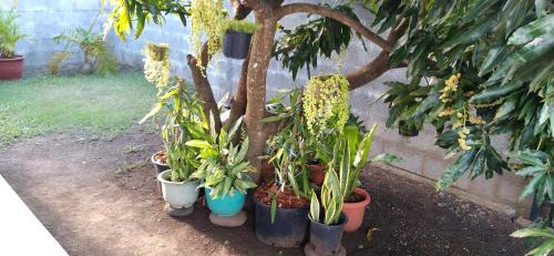 Punaauia House | Fare Onavai
